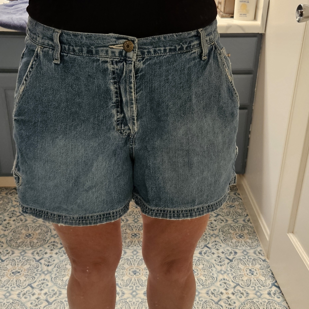 American Eagle Outfitters Blue Jean Shorts